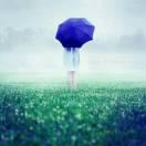 羊羊羊羊羊羊— — —