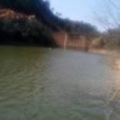 心若是淡定便是优雅