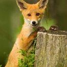 愿做菩提那朵莲🌸🙏