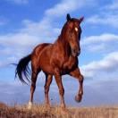 沉着，冷静加坚持！