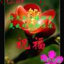 欢乐奶奶