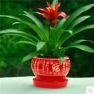 (❁´◡晴空万李`❁)