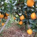 开心过好每一天cao