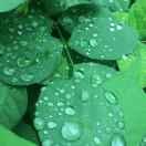 儿行千里母担忧/