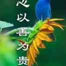 藤藤面馆