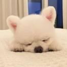 @琳兒@