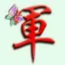 军