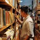 月下银妆粉苏柳