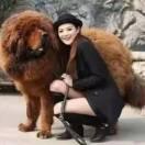 前程似锦