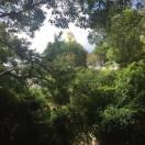 万水千山总是情