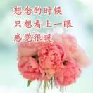 阳阳