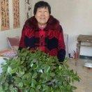 冬日里的一莫阳光