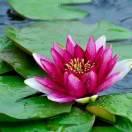 开心就好＜拒绝私聊＞