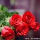 知足常乐