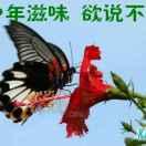 幸福生活选宇飞太阳能联系人张映周