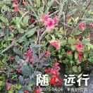 冷暖自知