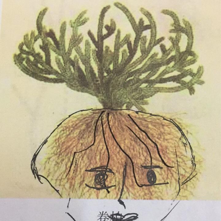 芋泥无瓜