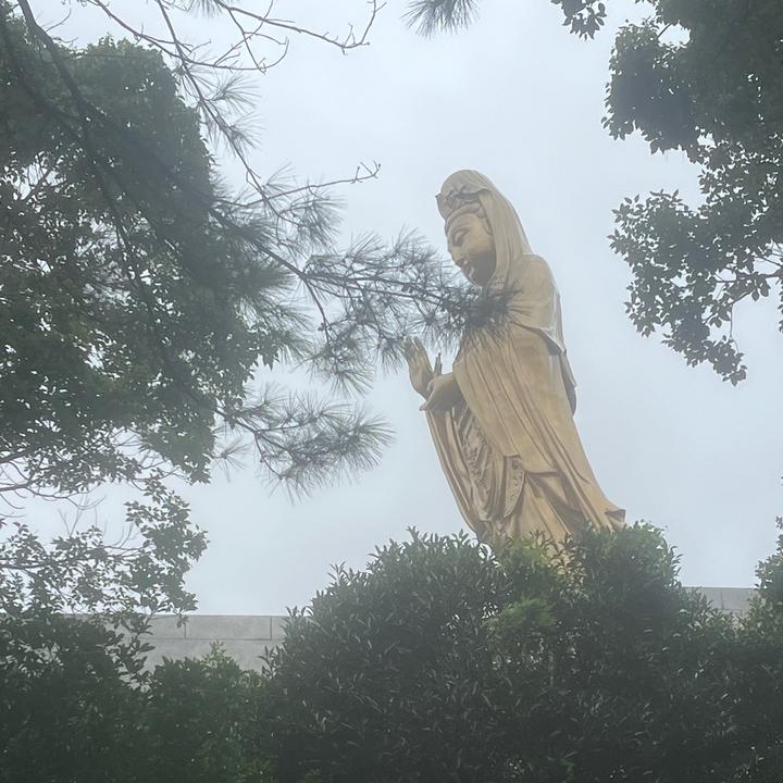 邓州 圆缘折纸  收学员