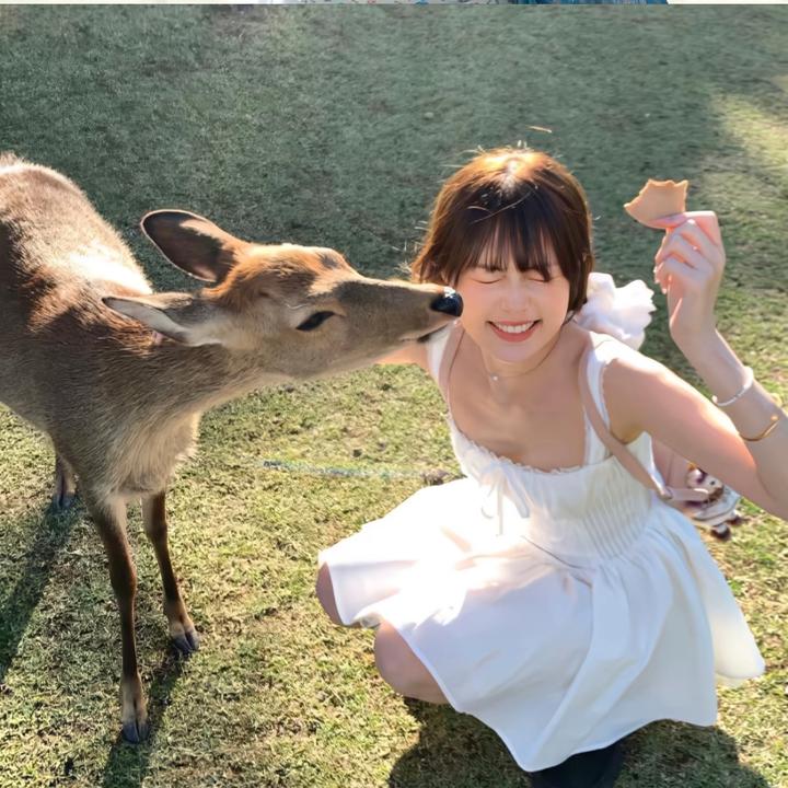 清禾