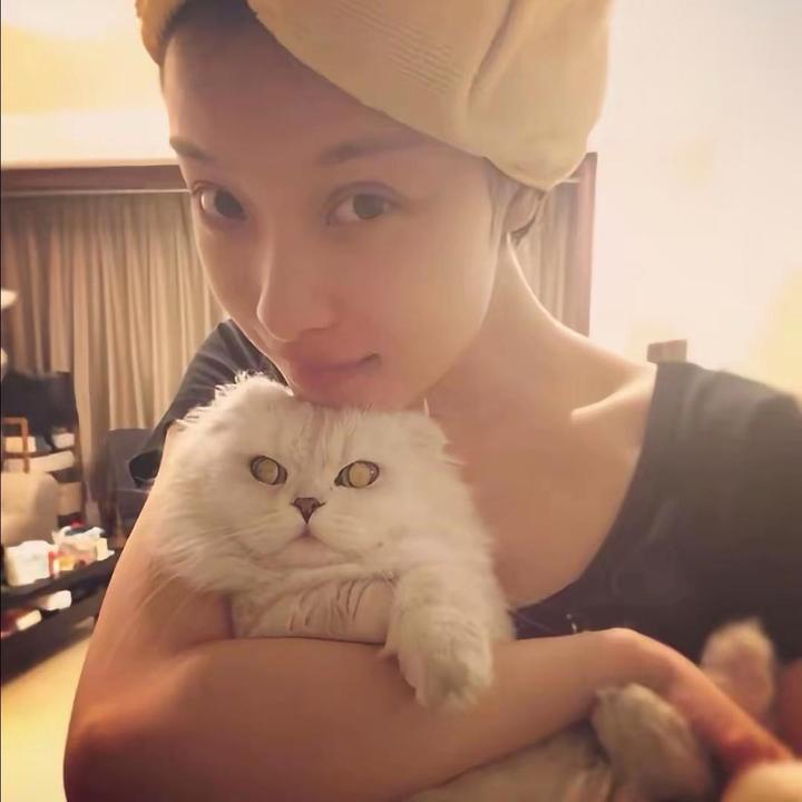 Miaooo_