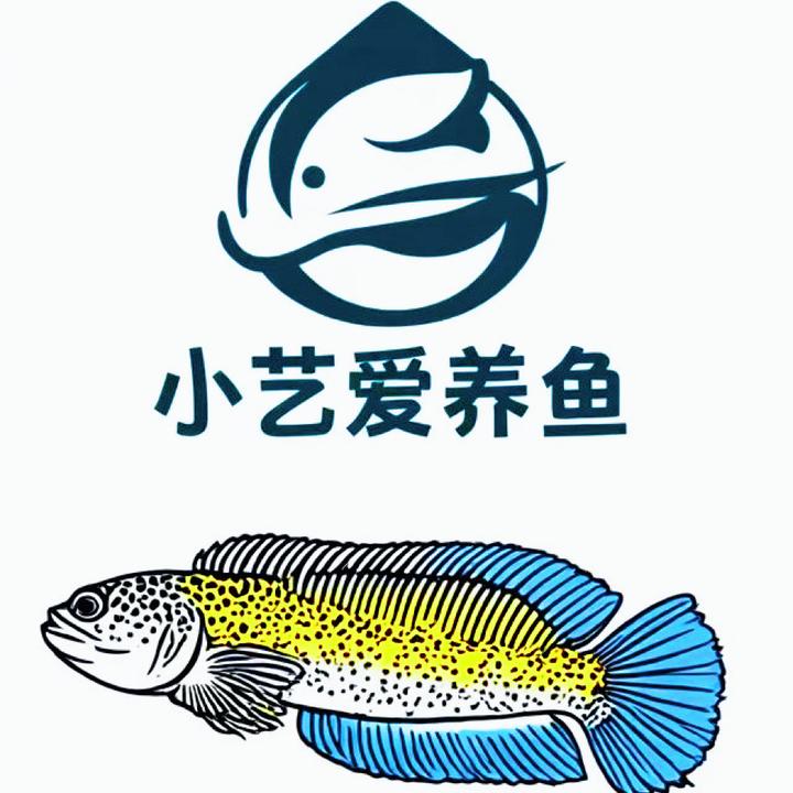 小艺爱养鱼