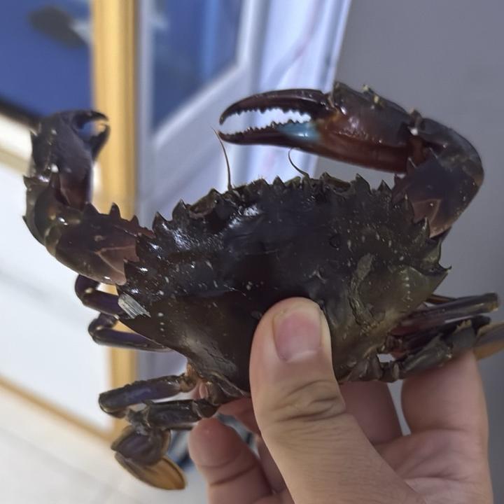 🌈大宝赶海