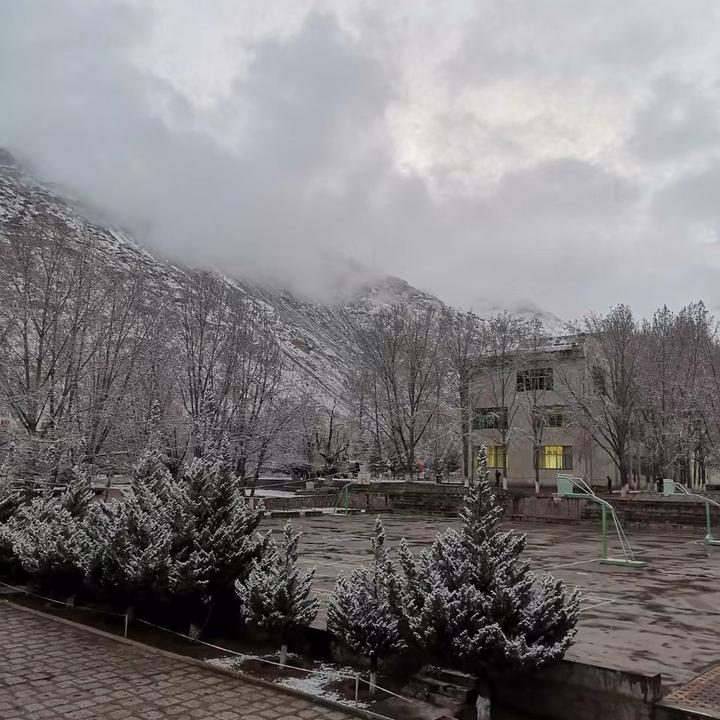 小高同志啊🇨🇳