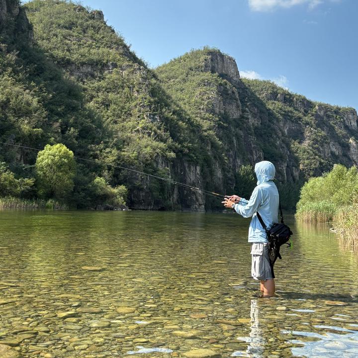 云鹤🎣
