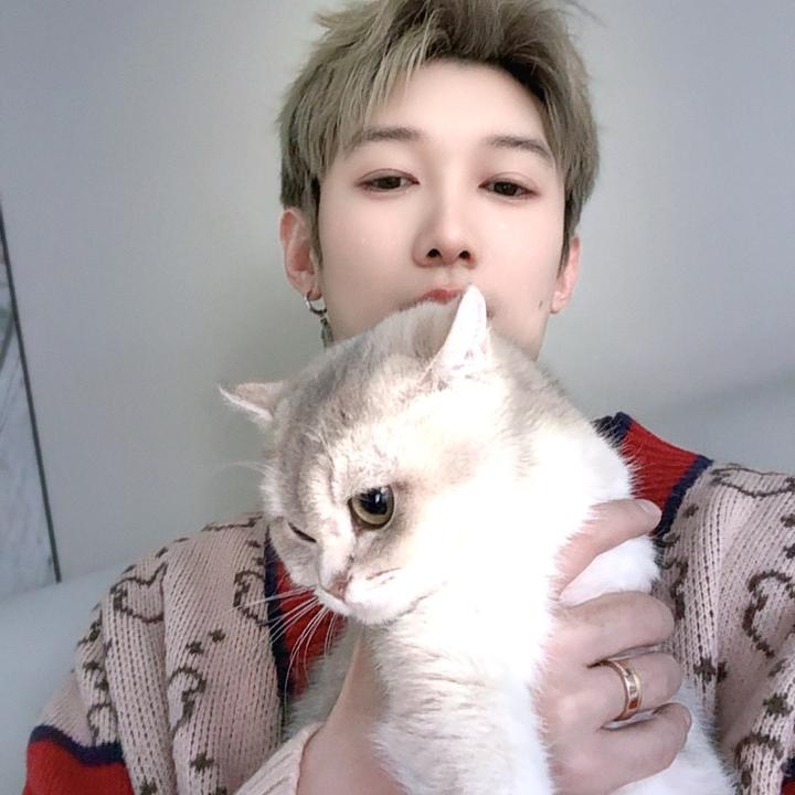 王者荣耀猫猫（国服瞎撇王）