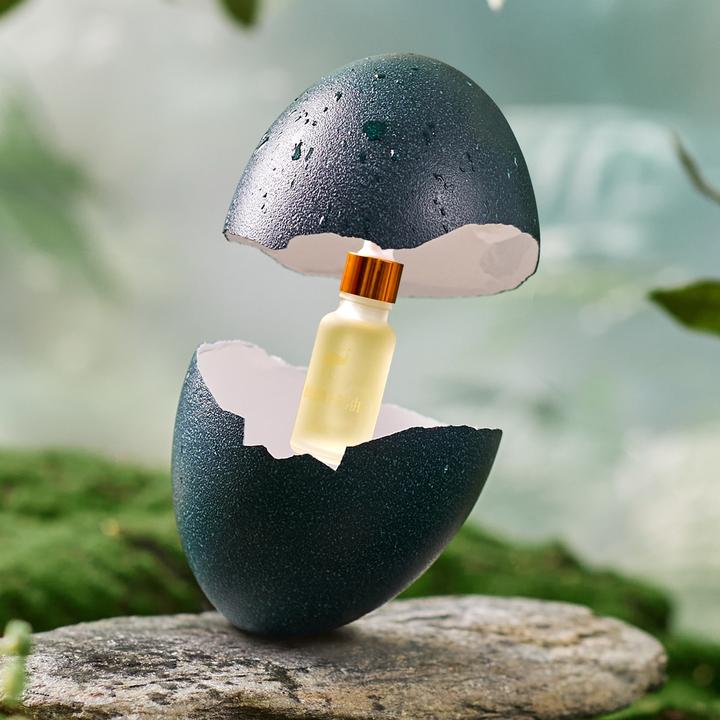 星星的园子