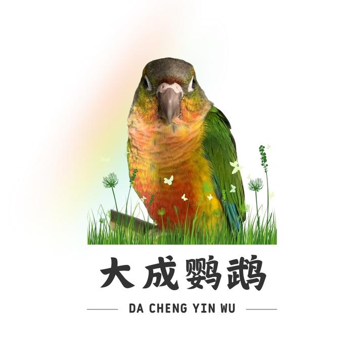 大成鹦鹉