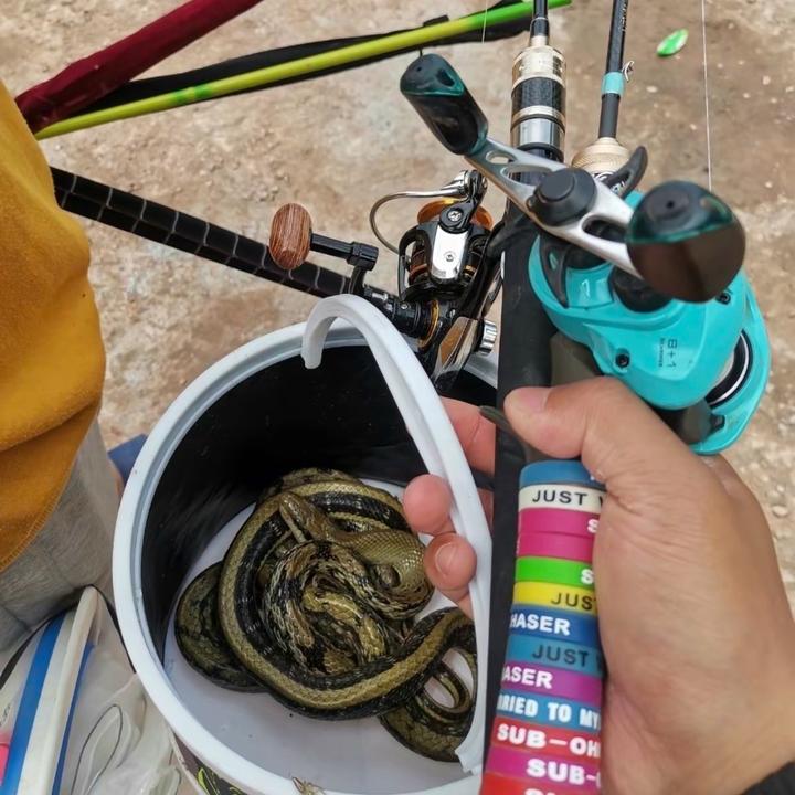 🌈小白路亚