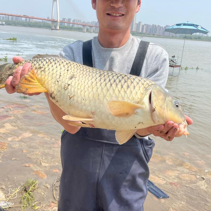 野钓小郑