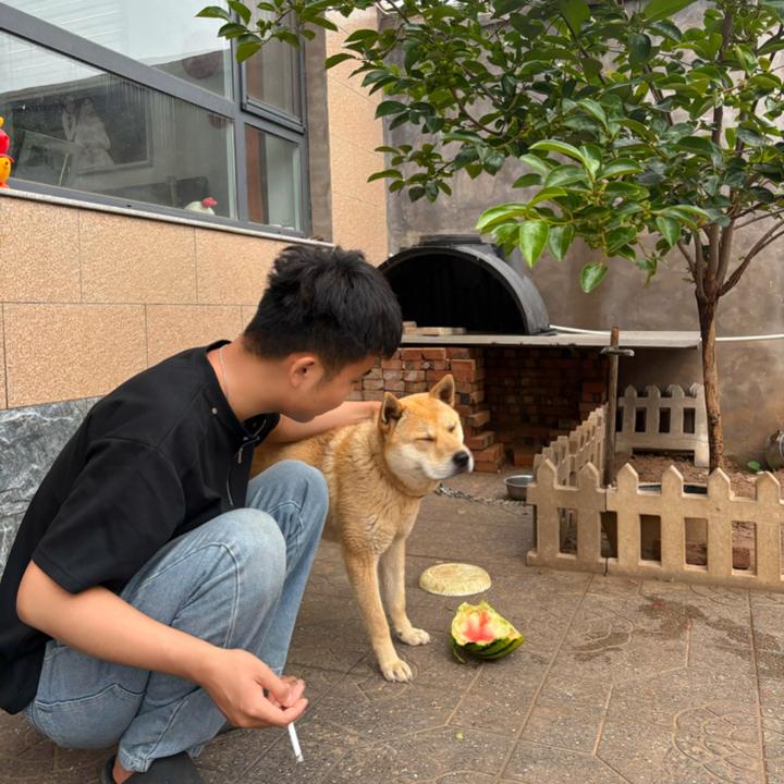 阿兴爱玩狗（田园犬来财）