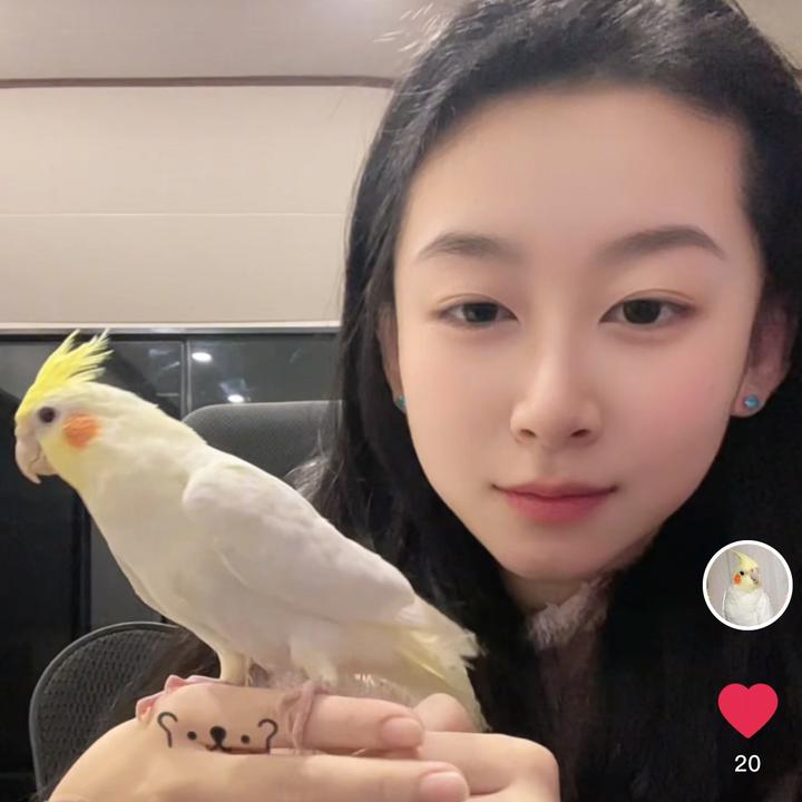 娜家鹦鹉养殖（鞍山）