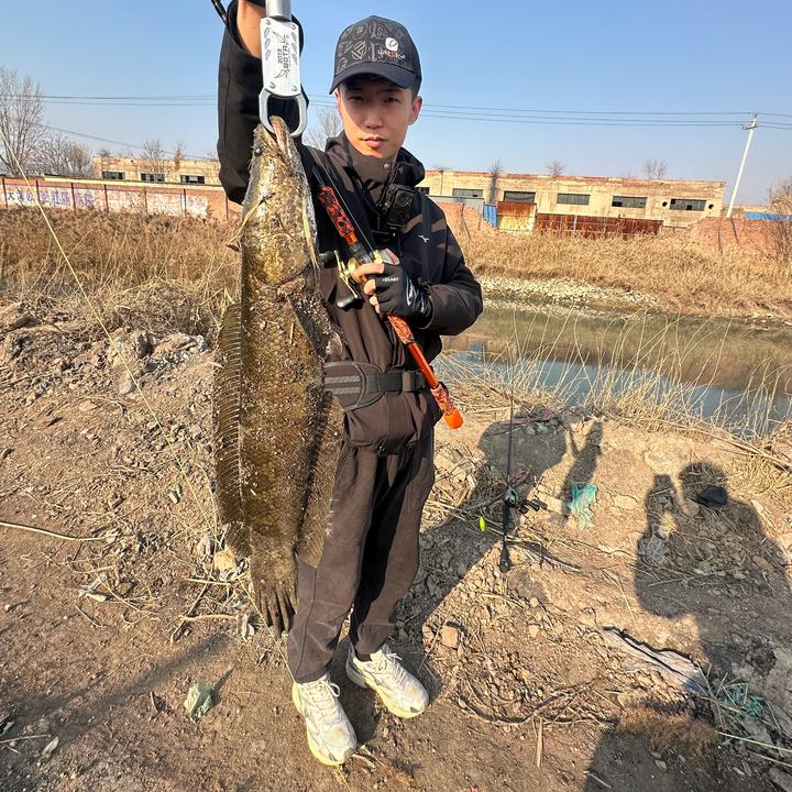 兵泉（雷强🎣）