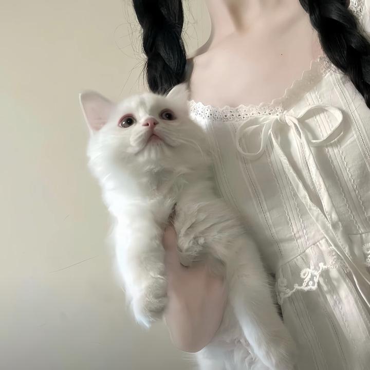 不點頭無法wink（进群自取）