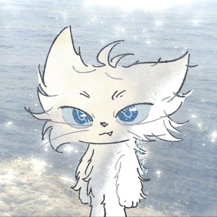 去看海