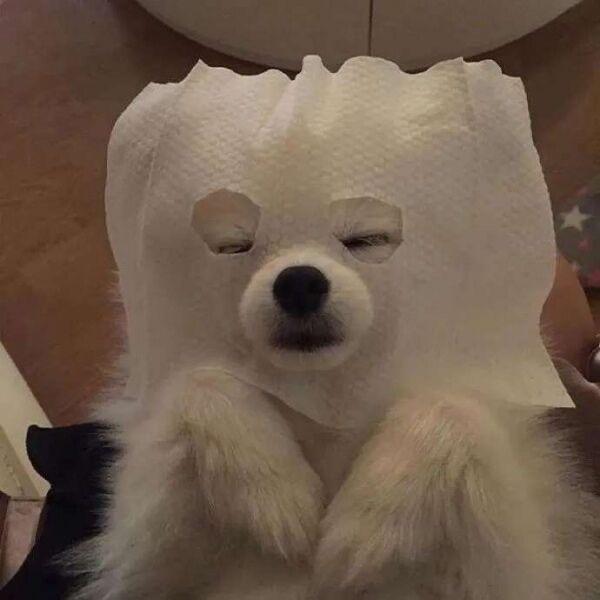 赤赤