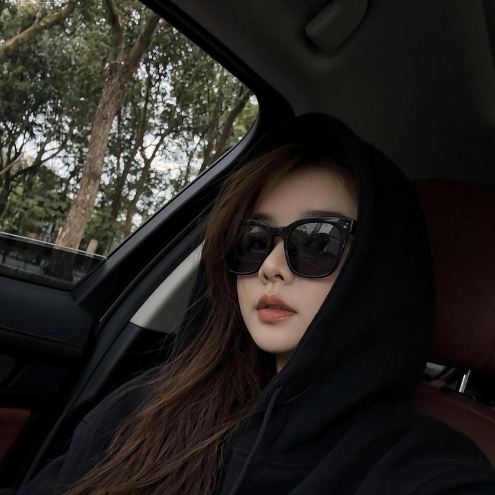 一只傻小梦（特价车）观致