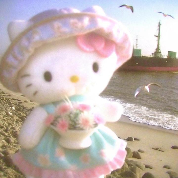 Kitty大王
