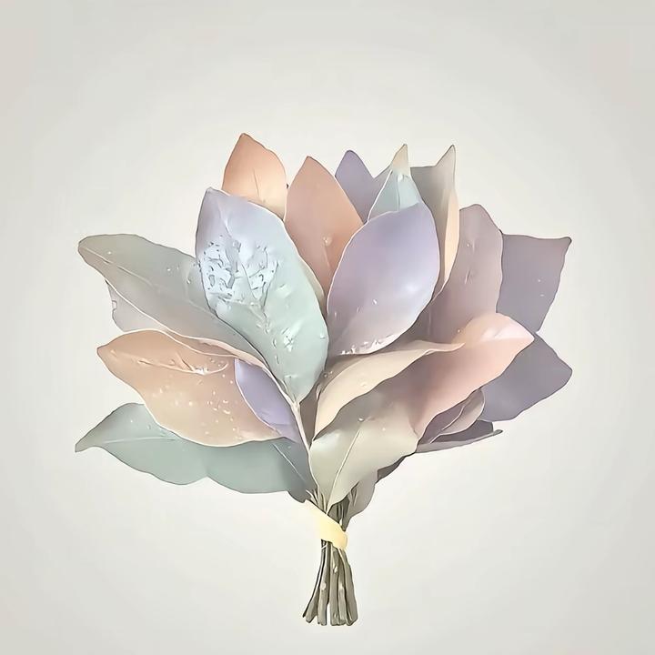 霉运消失术🧚‍♀️