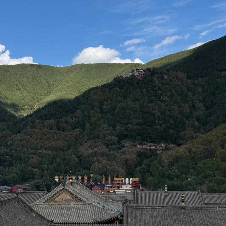 问道武财神