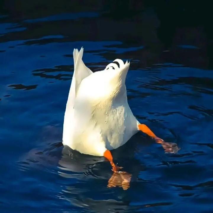 遵纪守法大良民
