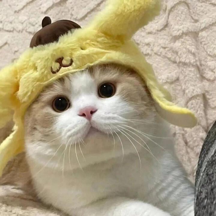 湫.