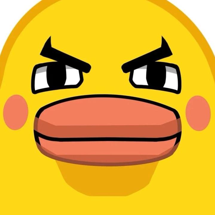 鹅某人（洛克王国·世界）
