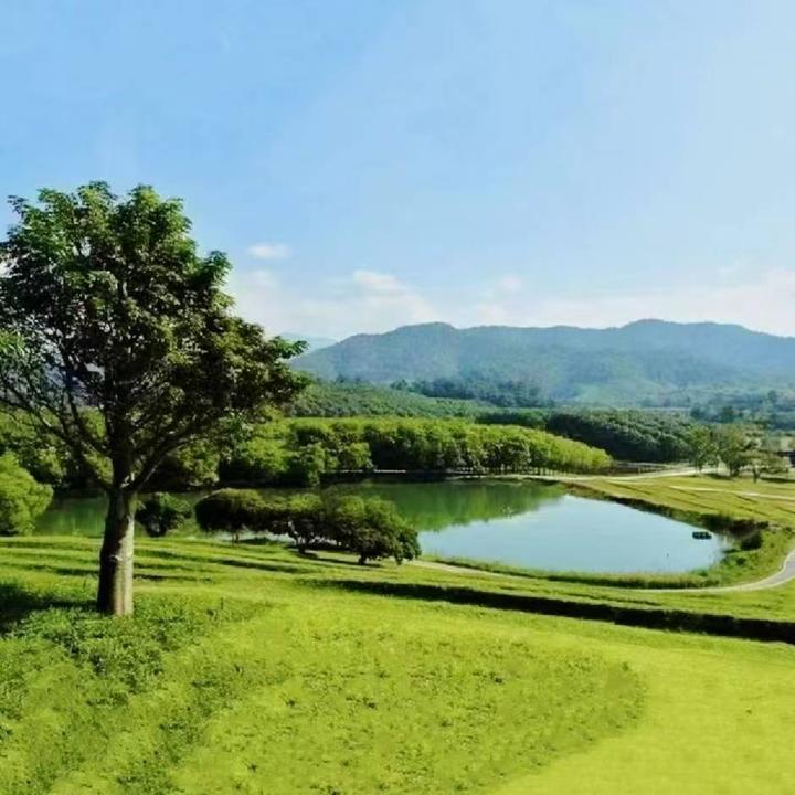 火山大哥