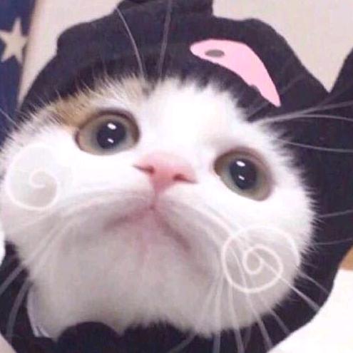 迷途、
