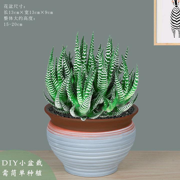 还是我