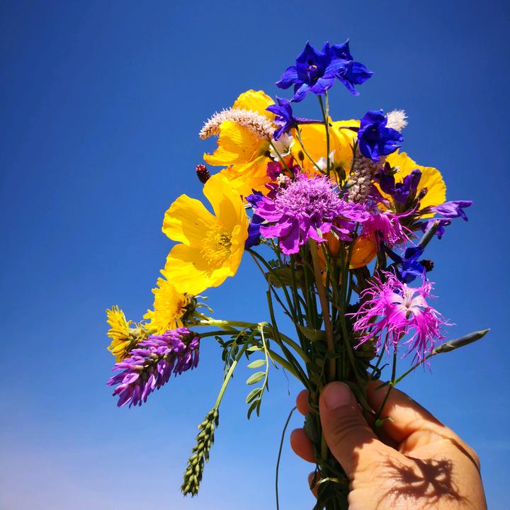 热爱生活（Love your life）头像